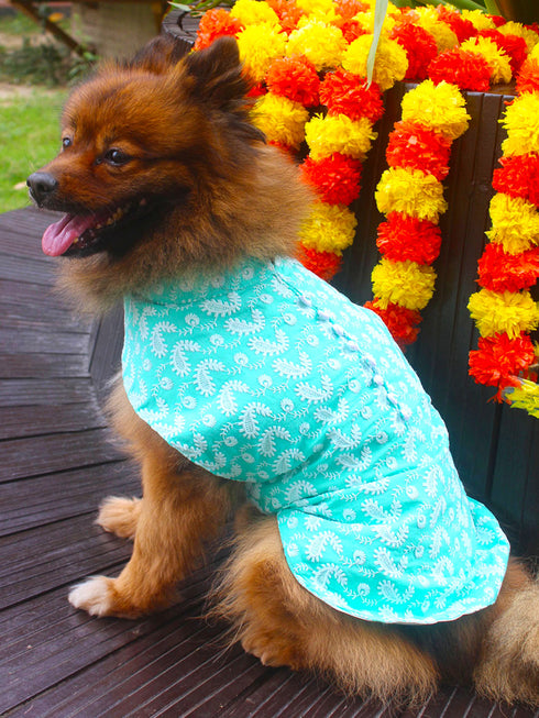 Dogs' Green Chikankari Pure Cotton Ethnic Kurta